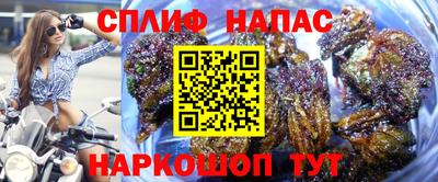 ешки Будённовск