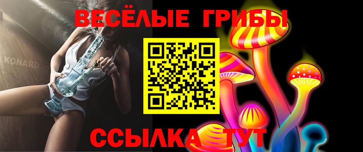 Псилоцибиновые грибы Cubensis Партизанск